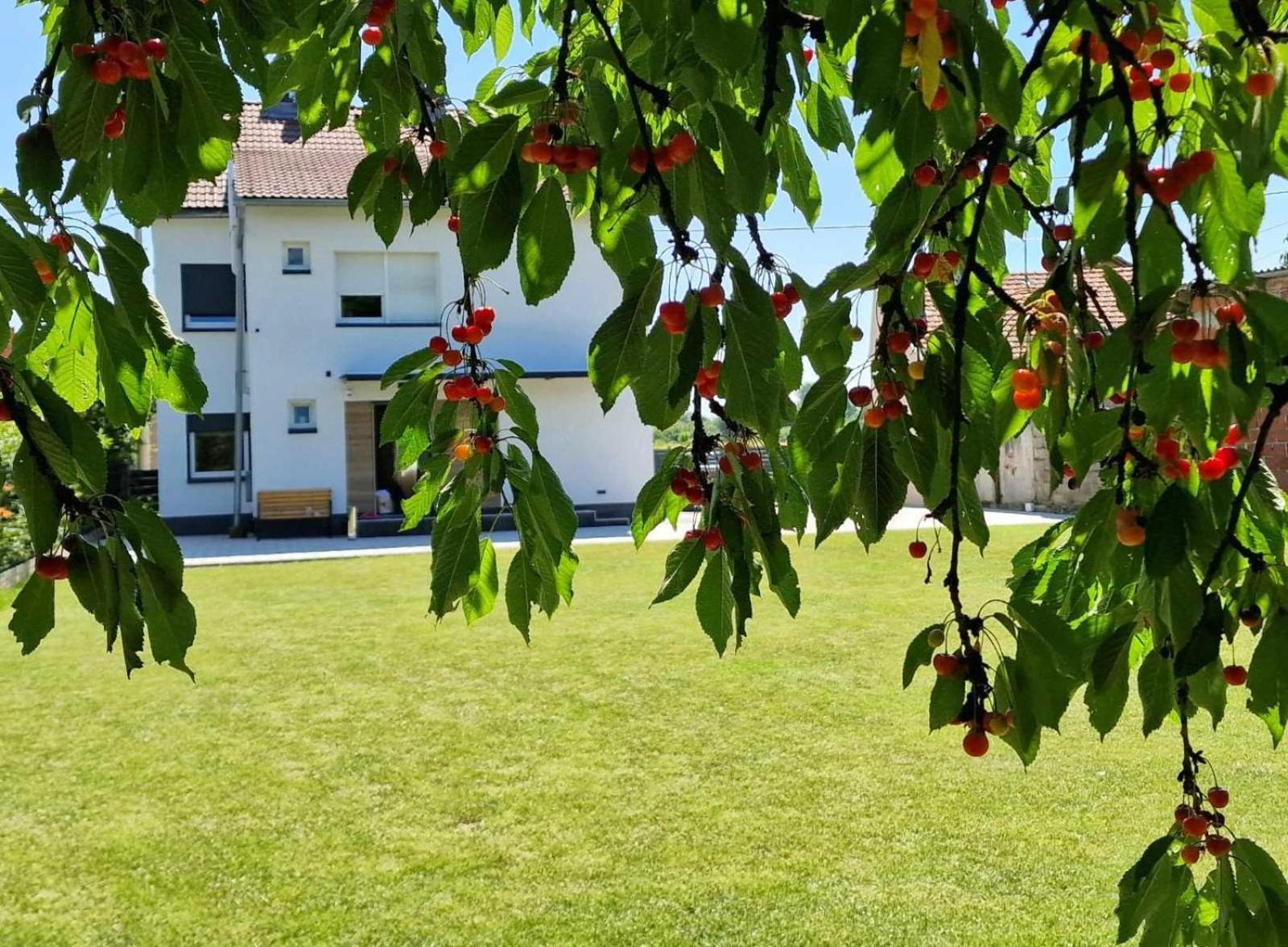 Hyde Park Apartments Čakovec Dış mekan fotoğraf