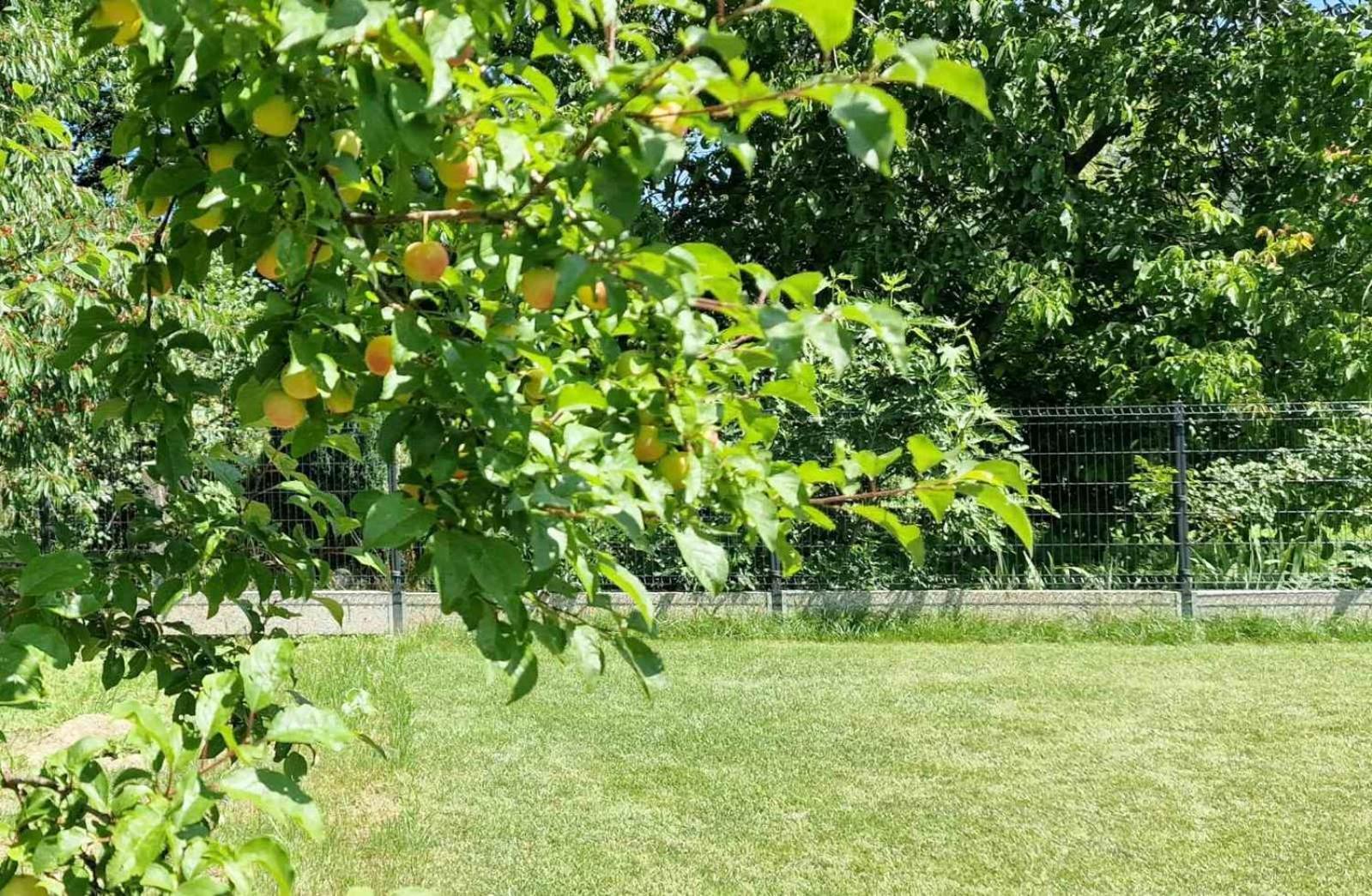 Hyde Park Apartments Čakovec Dış mekan fotoğraf